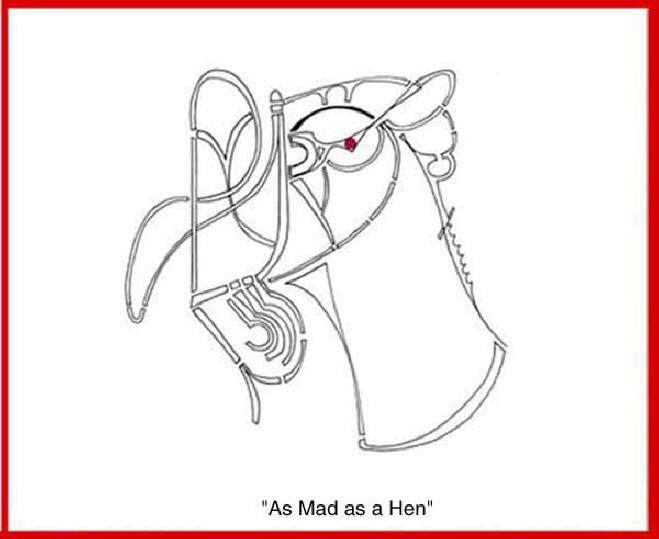 Ron Stultz doodle "AS Mad as a Hen" Large image